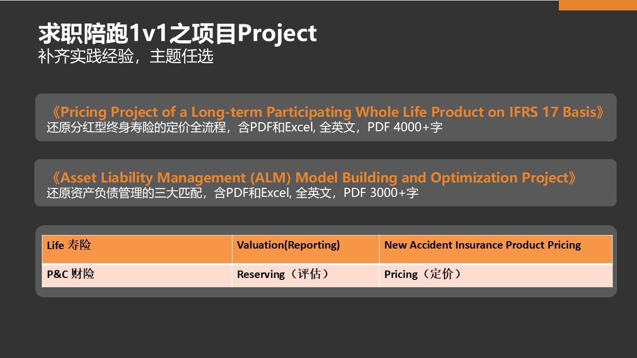 求职陪跑1v1之项目 Project