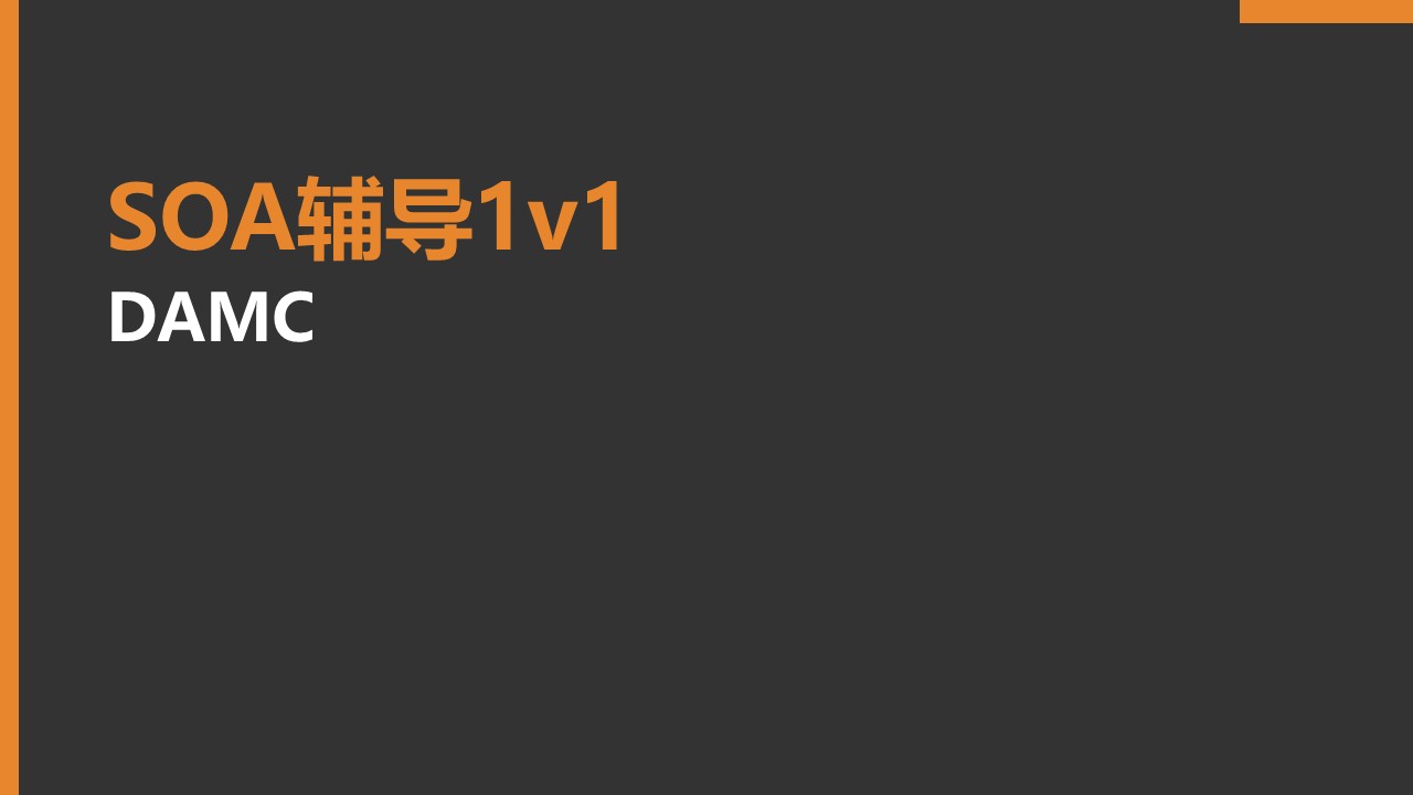 SOA辅导1v1 DMAC